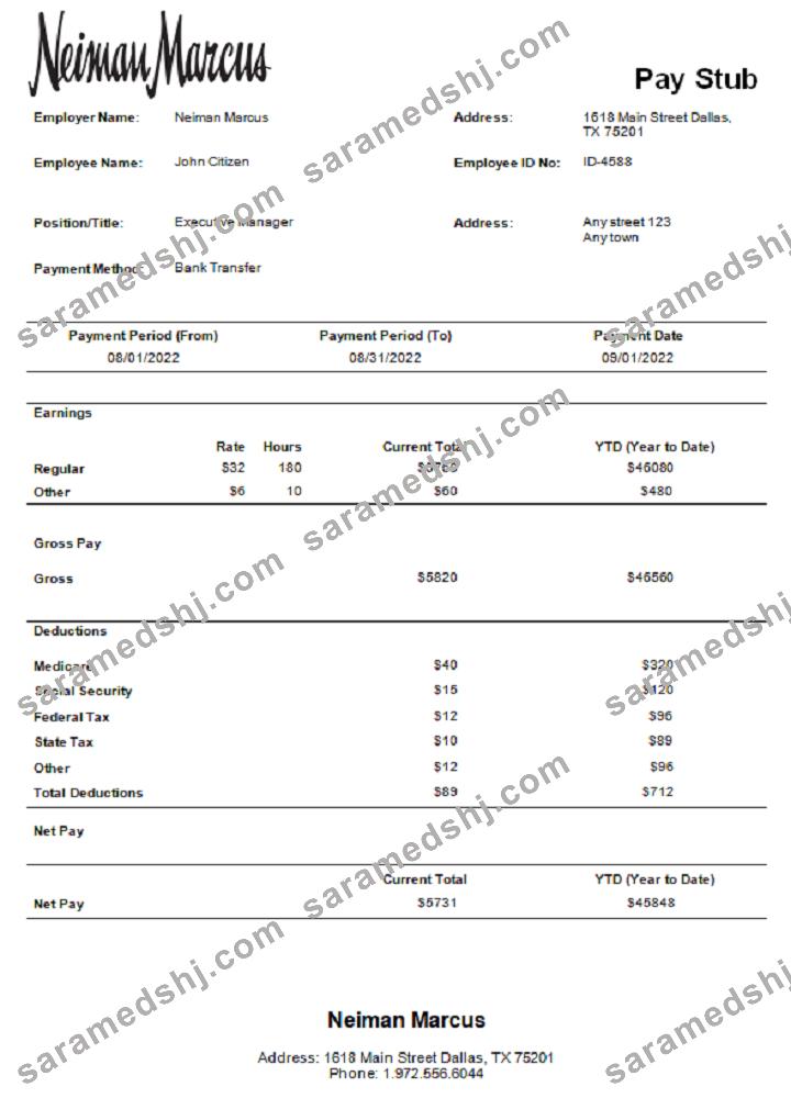 USA Neiman Marcus department store company pay stub